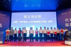 一月一从题”专项监视走深走实